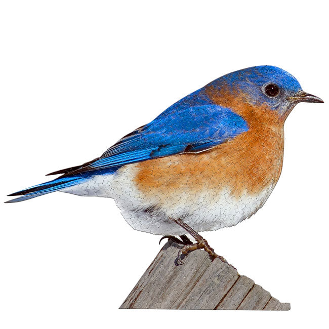 Bluebird Shaped Jigsaw Puzzle